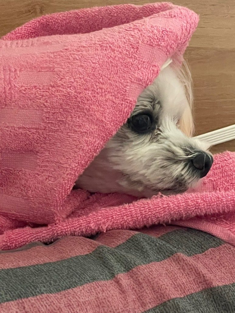 가야산참숯불구이 이미지