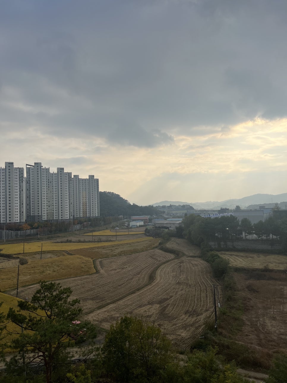 삼성공조총판 이미지