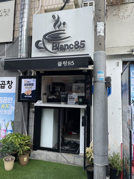 블랑85 이미지
