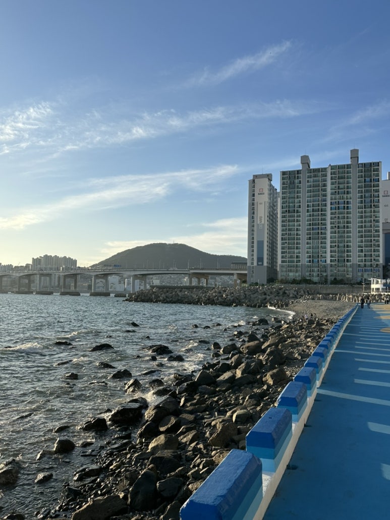 영도주단 이미지