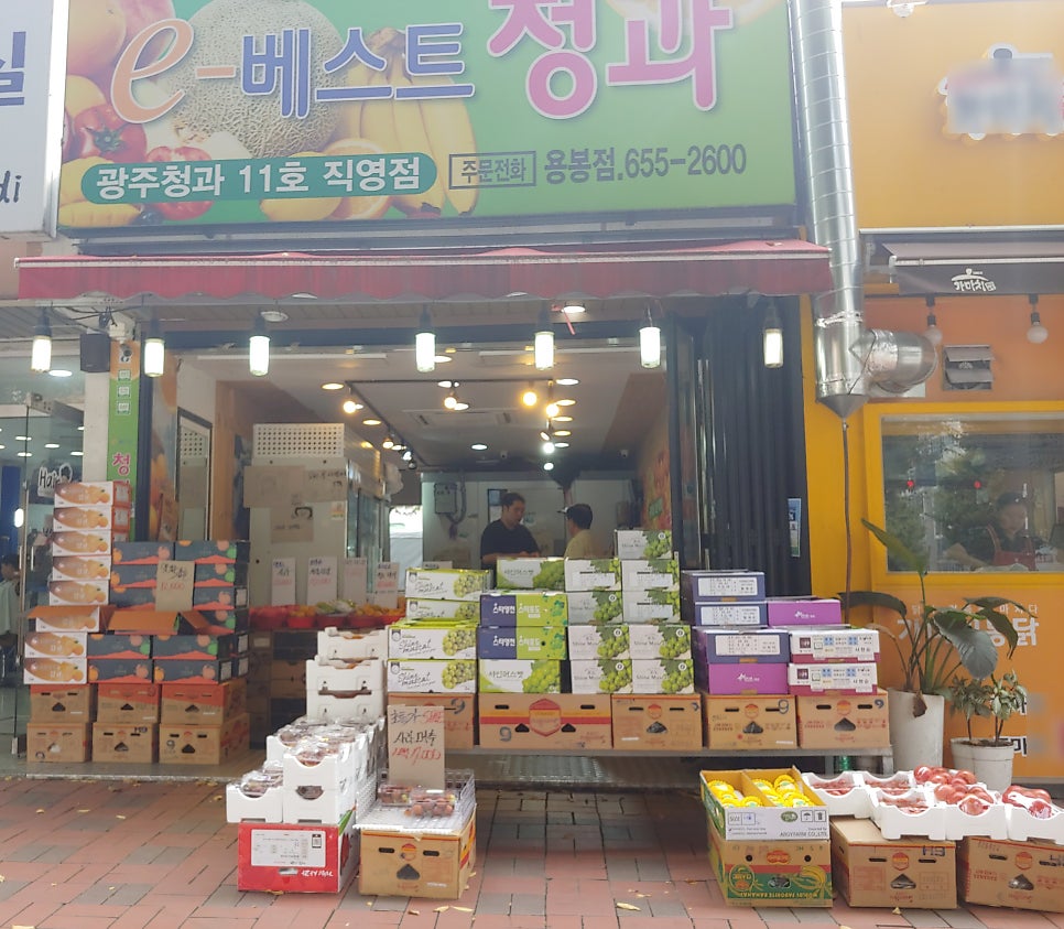삼성청과 이미지