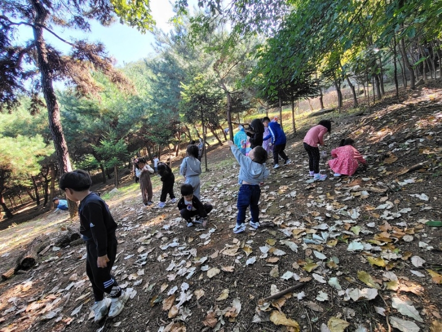 힐링숲협동조합 이미지