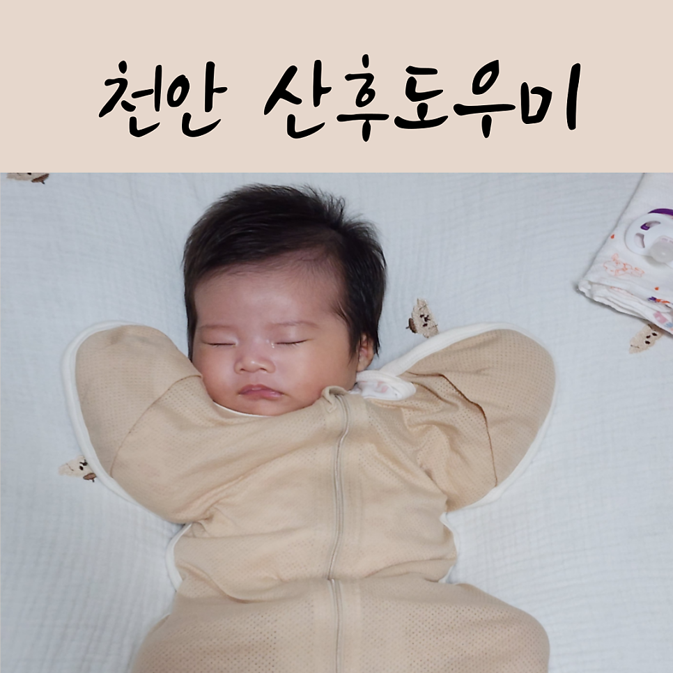 도담도담산후도우미 천안지사 이미지