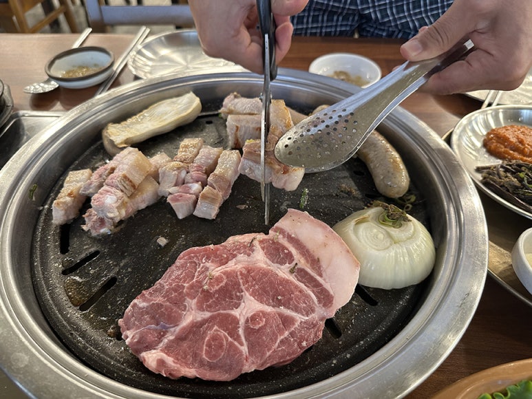 바다를품은돼지 이미지