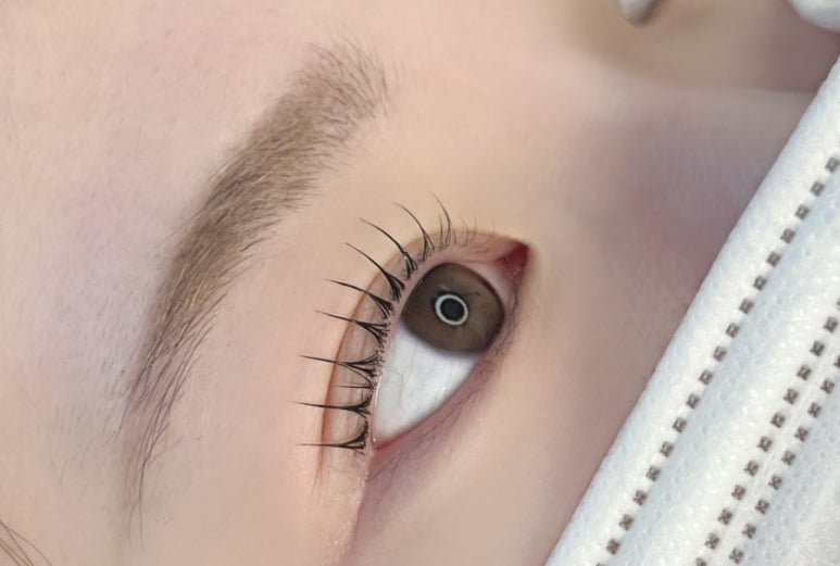 더렛빈 이미지