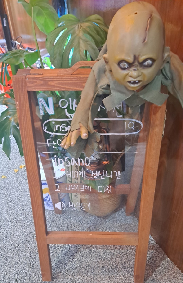 인사노 이미지