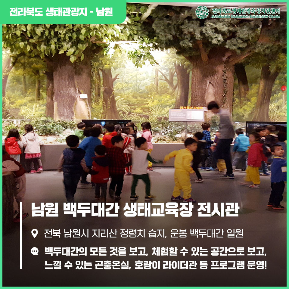 백두대간 유아숲체험원 이미지