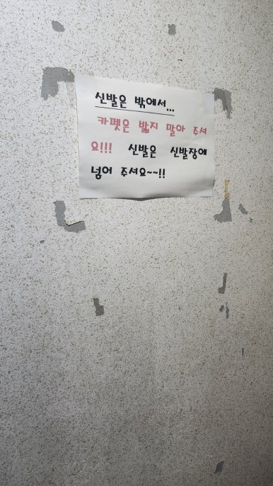 홍가네 사진 2