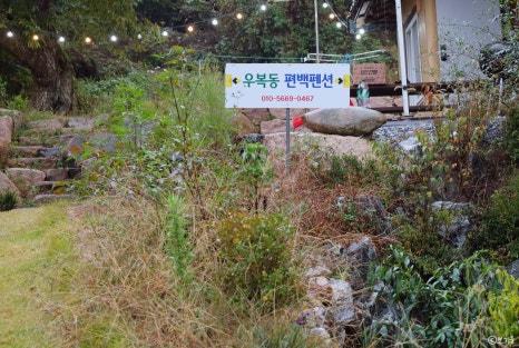 우복동편백펜션 이미지