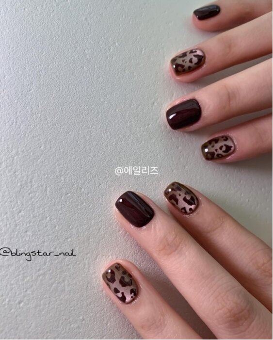 네일스테디 이미지