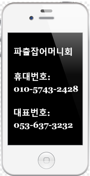 파출잡어머니회 이미지