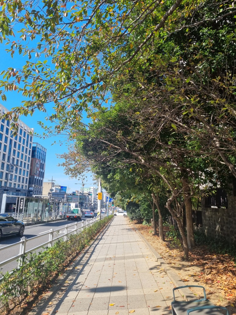 블루메마리 이미지