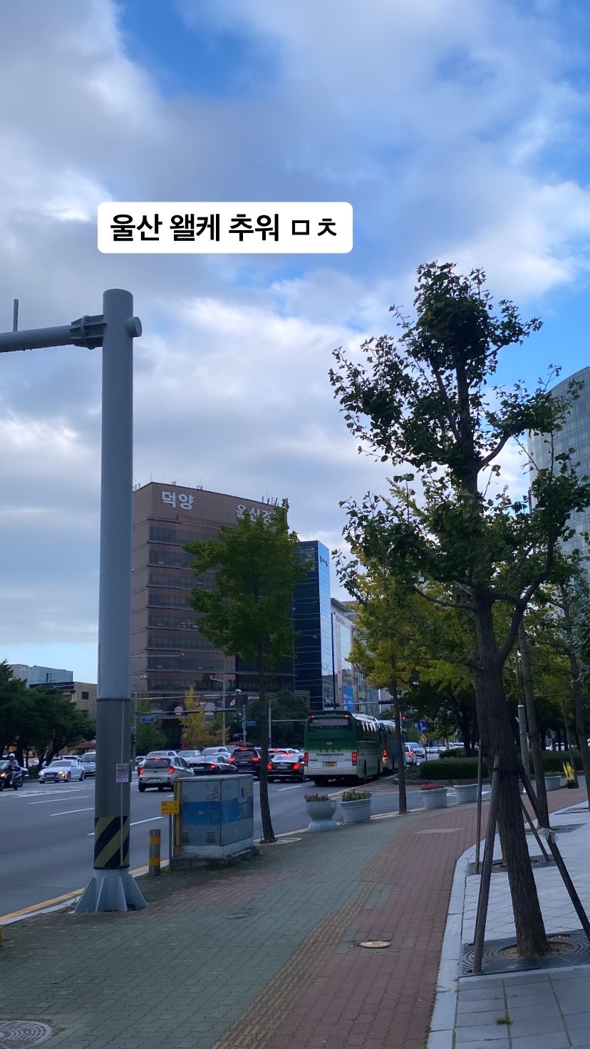 고든정형외과의원 이미지