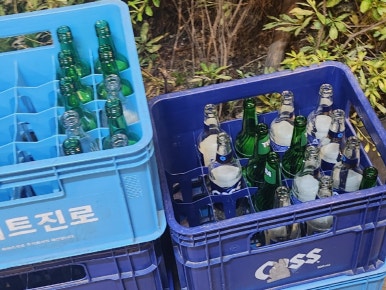 검탄소 이미지