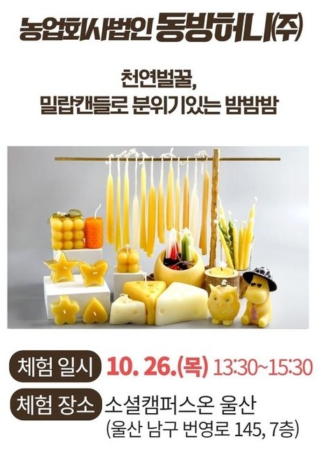 주식회사 소셜온 이미지