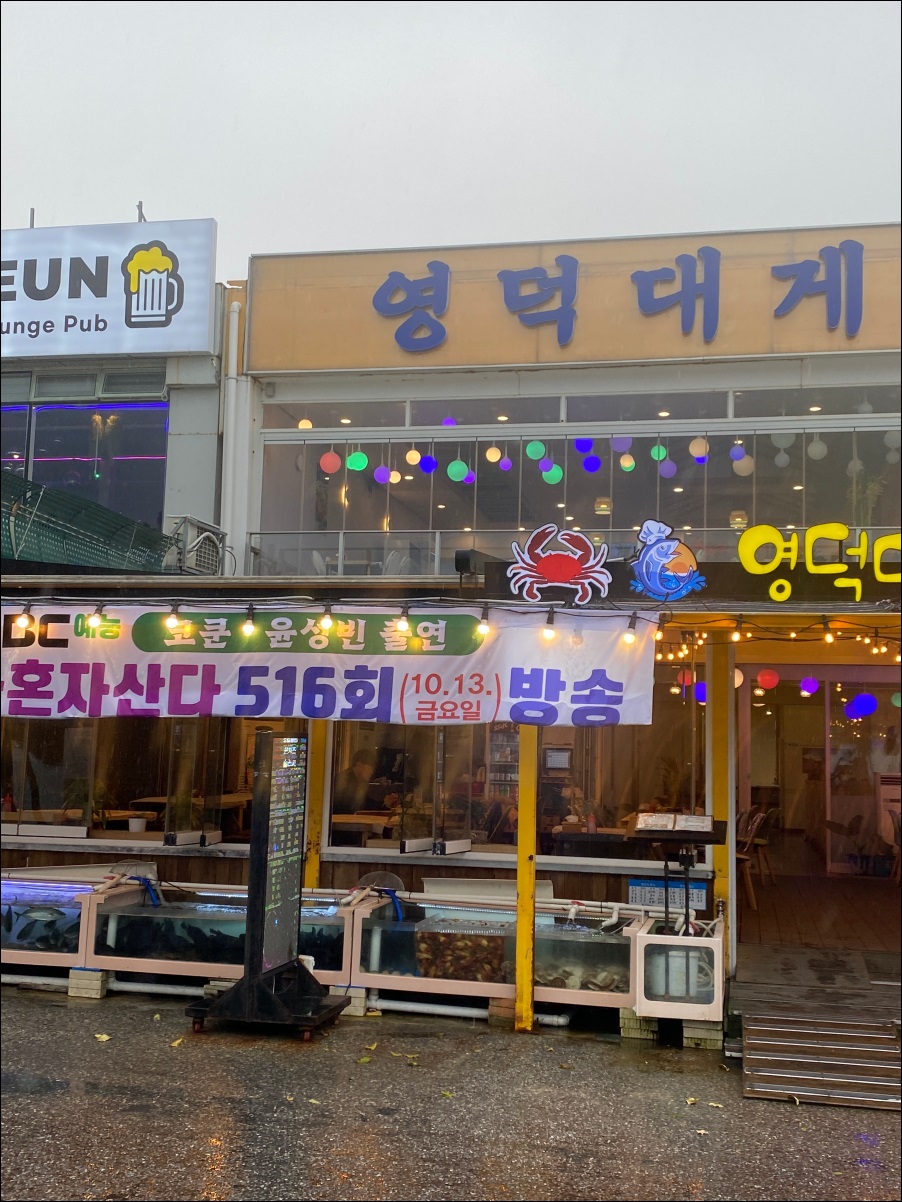 경포대오션 이미지
