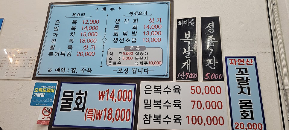 대어스시 이미지