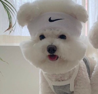 마라이웃 이미지