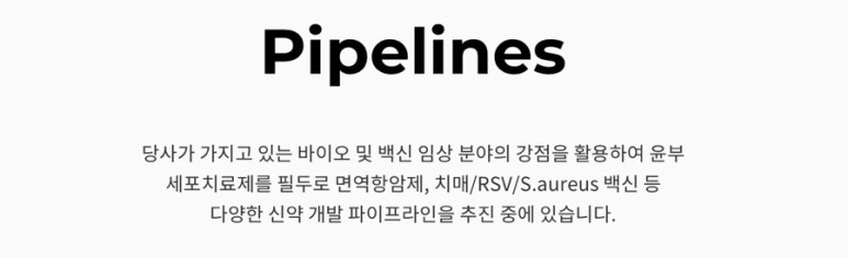 비엔씨네트워크 이미지