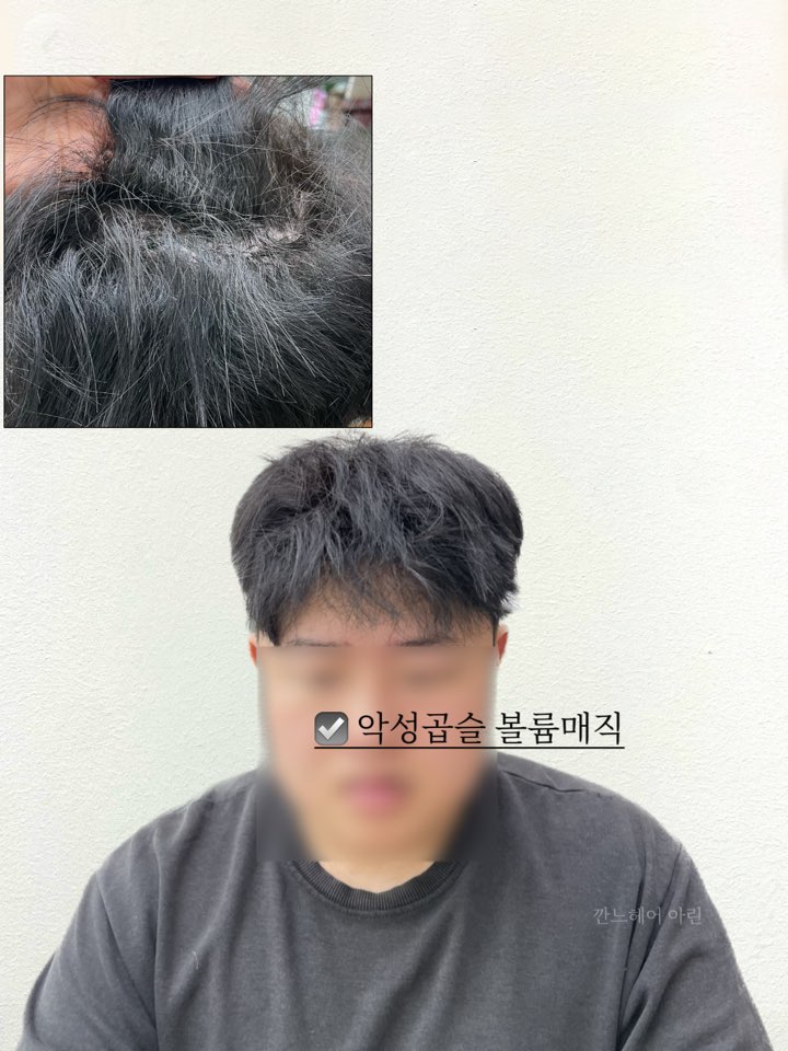 깐느헤어 이미지