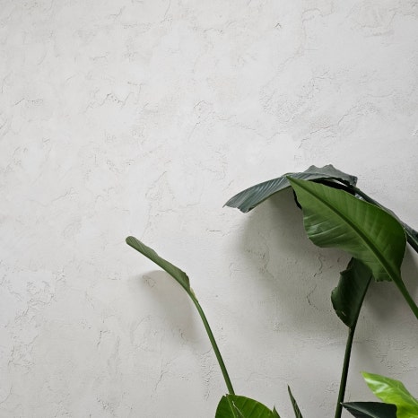 하연미장 이미지