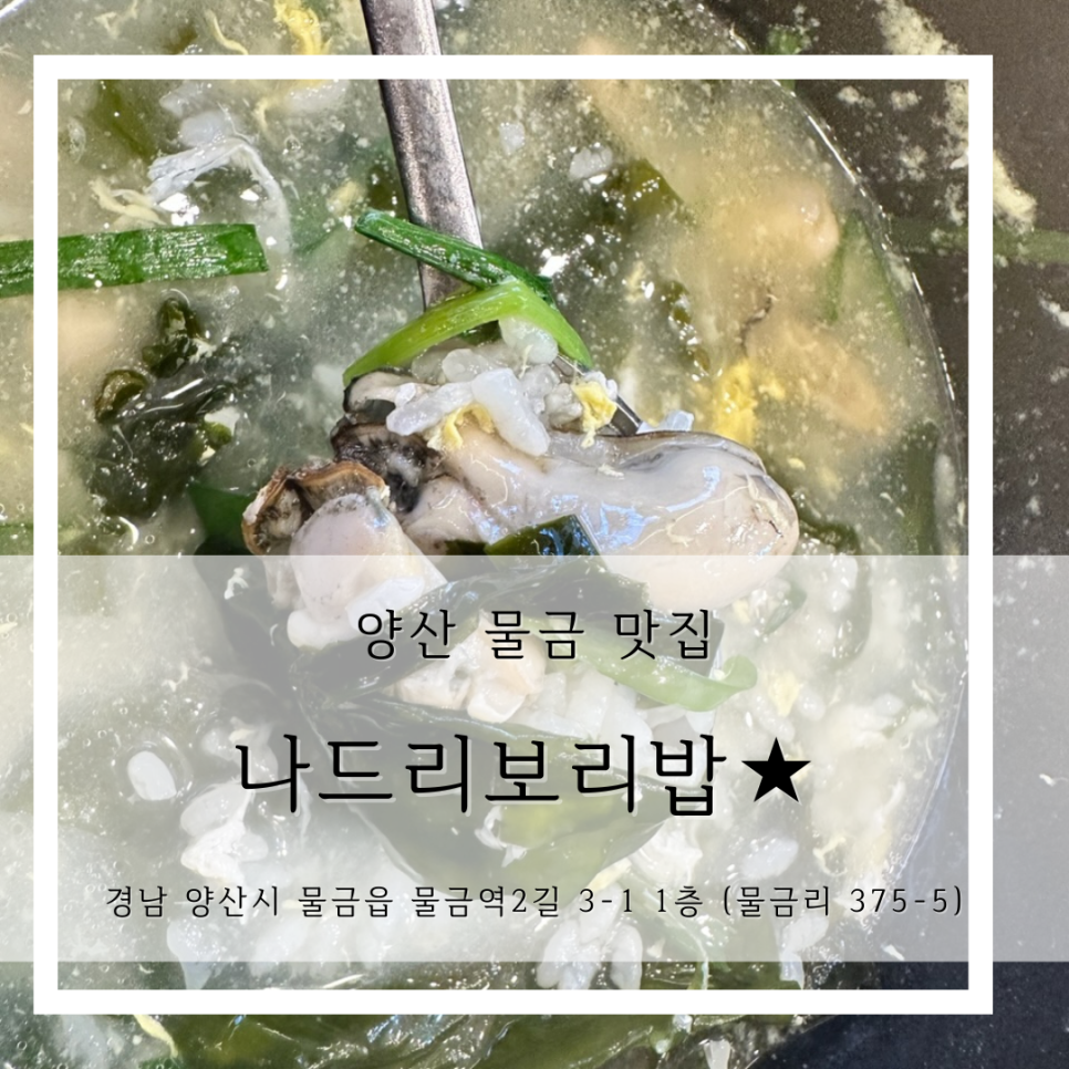 나드리보리밥 이미지