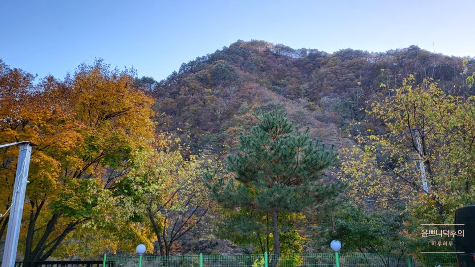 내린천 글램핑 이미지