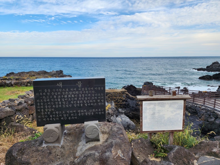 대섭동산 이미지