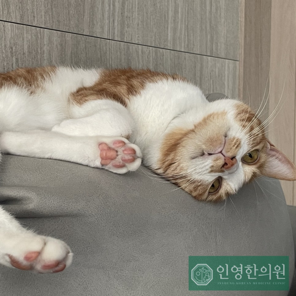 인영한의원 이미지