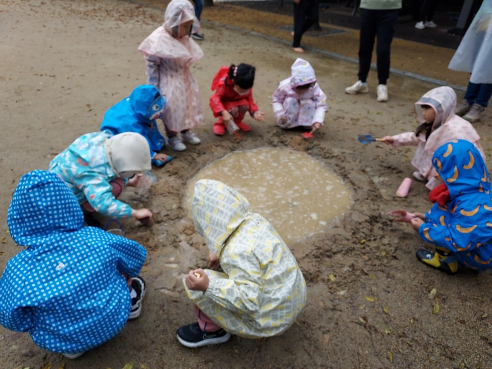 힐링숲협동조합 이미지