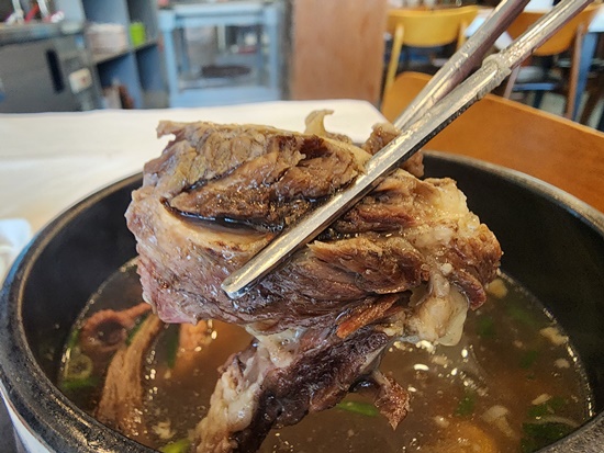 황제메밀 이미지