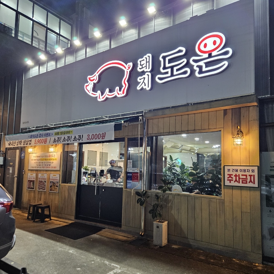 돼지도온 이미지