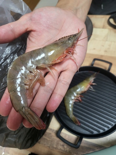 거성농수산 이미지
