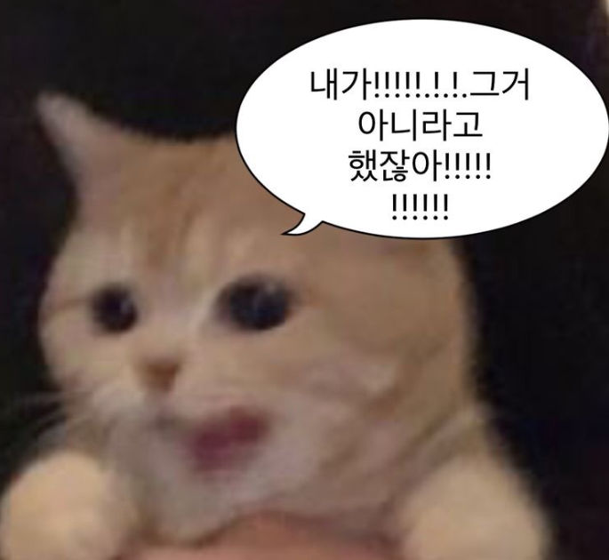 이천수선 이미지