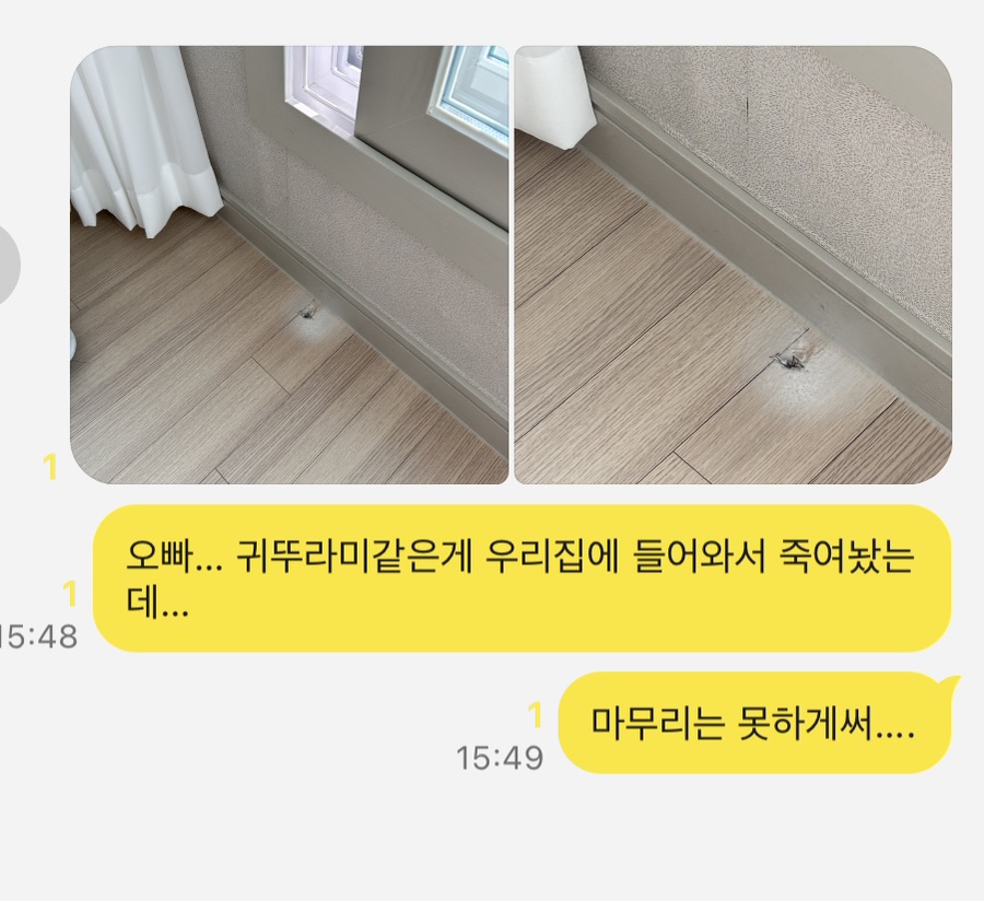 현주네분식 이미지