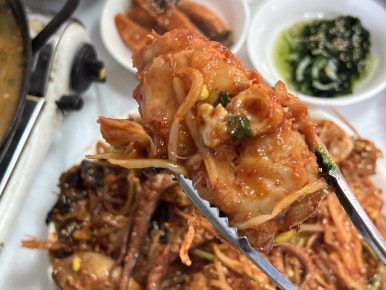 아구조아 이미지
