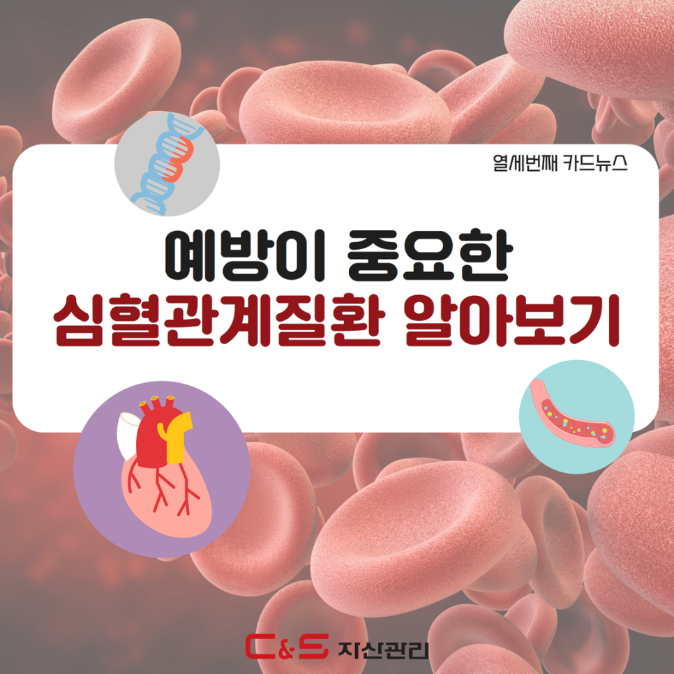 씨앤에스자산관리 이미지