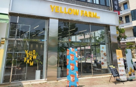 옐로우팜광주 이미지