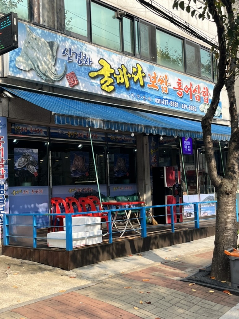 굴바다 이미지