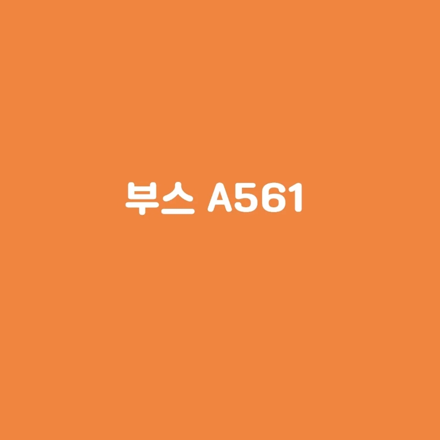 키즈부스 이미지
