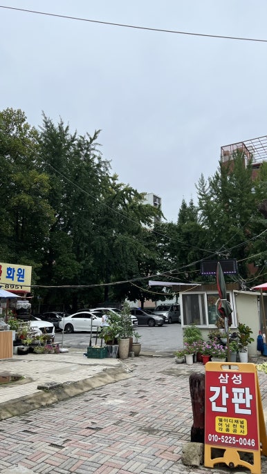 프라자손칼국수 이미지