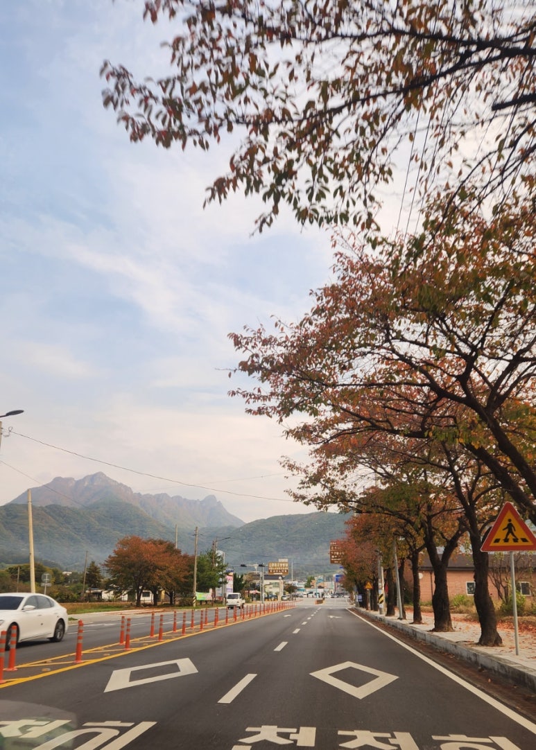 서일의료재단문경중앙병원 이미지