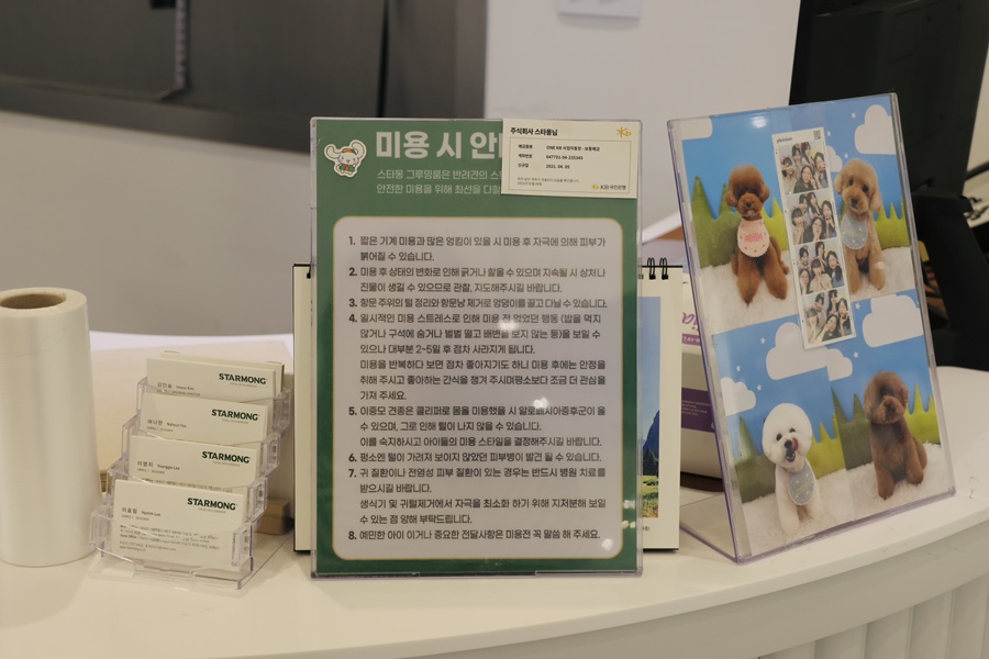 서울 강남 애견 유치원 스타몽: 비용, 픽업, 시설 완벽 분석 — 사진 18