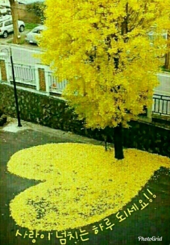 초원사랑어린이집 이미지