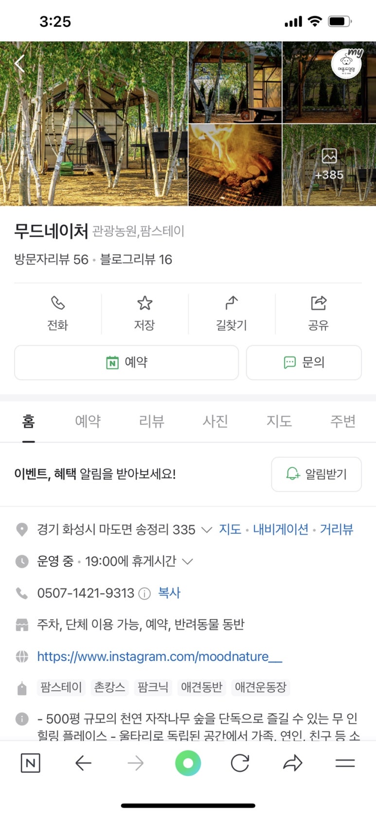 자작나무관광농원 이미지