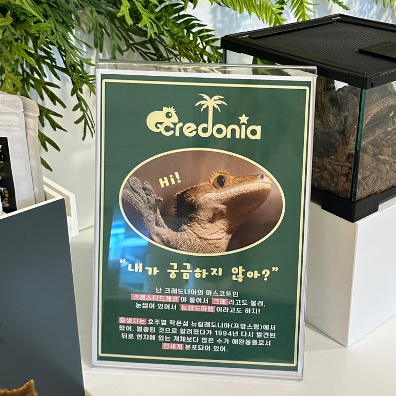 크레도니아 팔달구청점 이미지