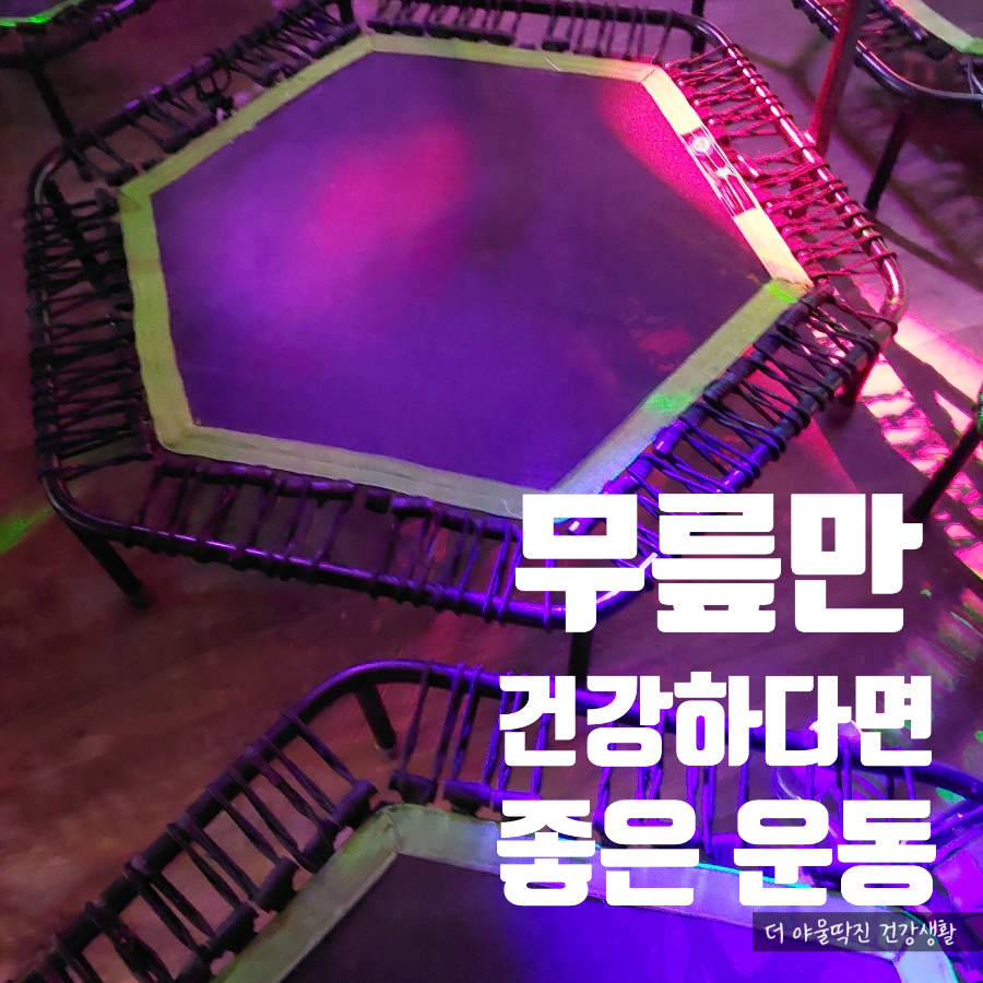 내가살뺀점핑다이어트 이미지