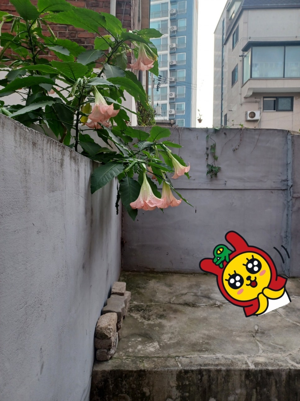 프라이빗크리닝 이미지