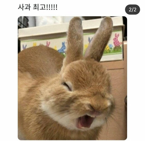 헤어짱 이미지