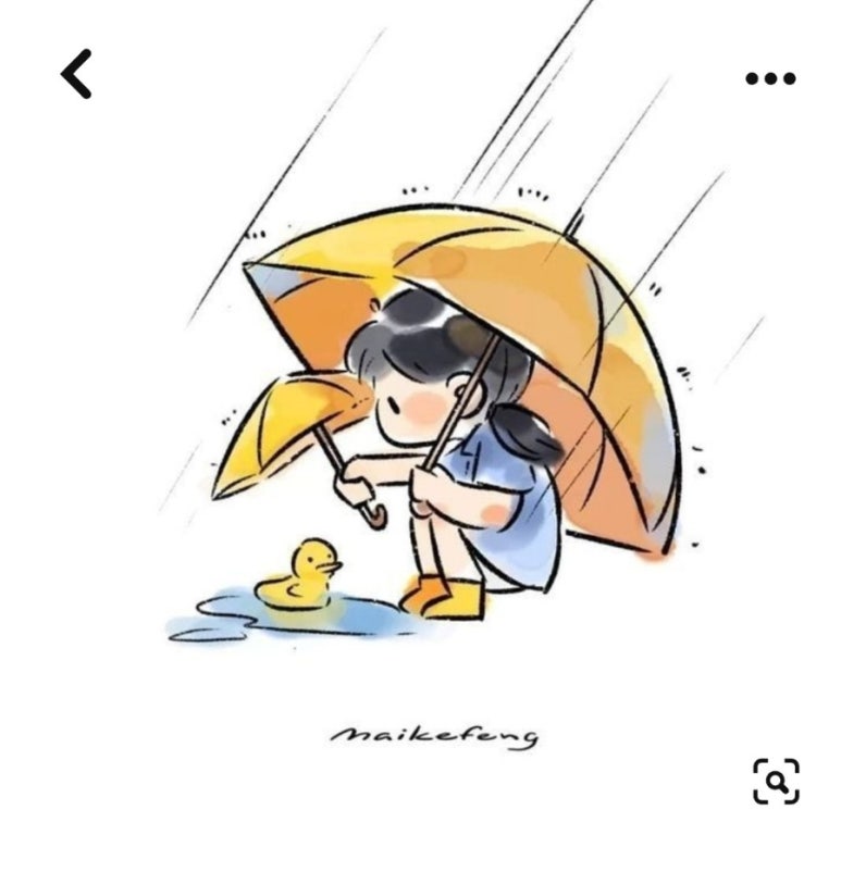 너른우산 이미지